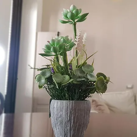 Loveloft Appartement *